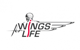 logo_wingsforlife